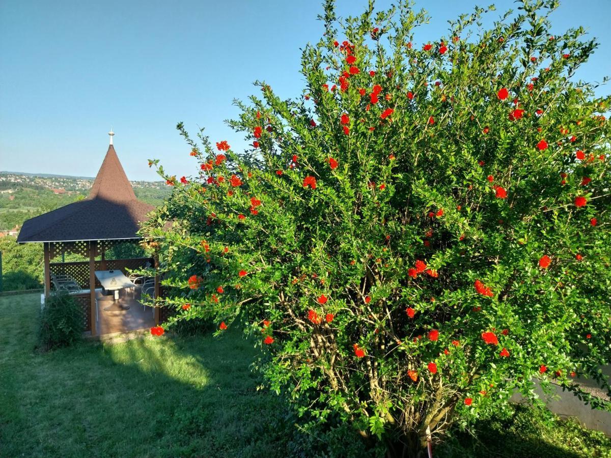 Manor Villa Hévíz Dış mekan fotoğraf